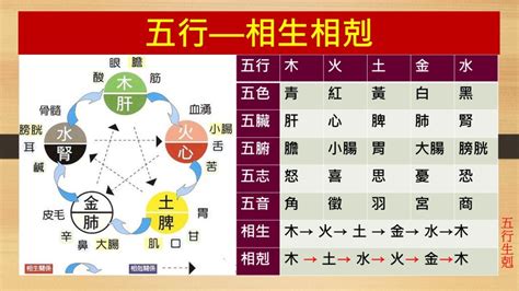 五行相生剋|五行生剋(哲學理論):實質,特性,生克,劃分,物象歸類,相。